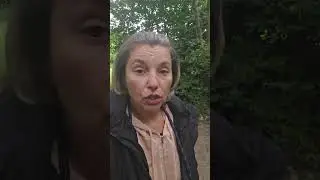 Новая элита России