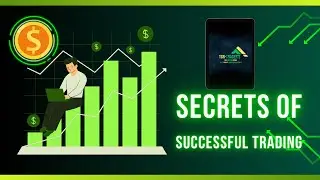 Crypto Trading for Beginners: Master Bitcoin & Crypto Derivatives in 2024 🚀