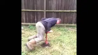 Карусель, карусель...