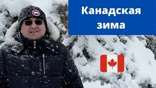 А вот и первый снег. Зима Торонто ,Канада 2020.  И горячая пицца.