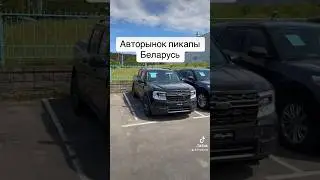 Pickup truck market in Belarus