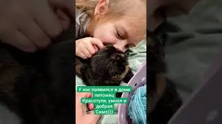 Нашли кошечку и забрали себе