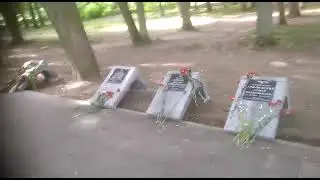 Аллея Памяти погибших в СВО.