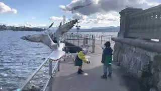 Zürich 💥