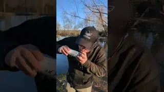 Testing the Kraken Beer Tool!