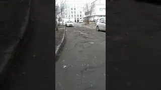 Дорога в центре города Архангельска.