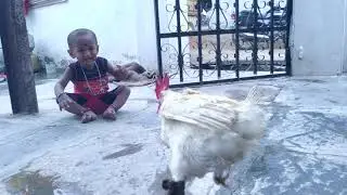 children comedy show kids videos for kids