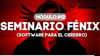 Seminario Fénix - Módulo 12- Software para el cerebro