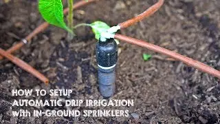 How to Setup Drip Irrigation with In-Ground Sprinklers