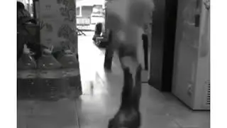 20 января 2019 г.