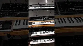 Will My Moog One Be Jealous?