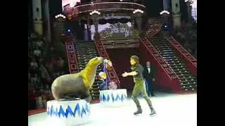 Василий Тимченко - морские львы. Цирк Никулина 2009 г.