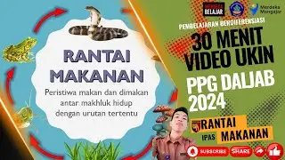 Video UKIN PPG TAHAP 3 Berdiferensiasi IPAS Fase C Topik Rantai Makanan Kelas V edit 30 menit