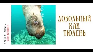 ни хрена не видит, а дурачится запросто........................................