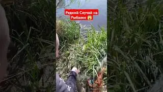 Редкий случай на Рыбалке,Достали сеть А Там