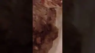 АНОНИЗМ ПРОДОЛЖАЕТСЯ СВЕРХУ