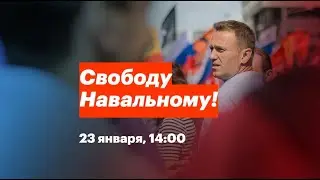 По всей России проходят акции протеста в поддержку Алексея Навального