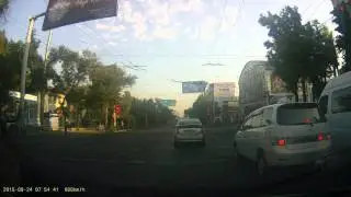 Олени повсюду