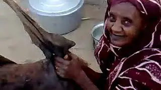 هز الروب