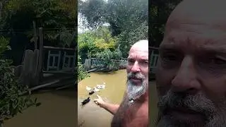Kad mandarine rode na haciendi