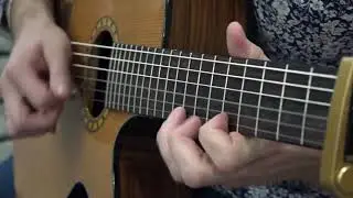 Ринат Валеев - Неугасимое вдохновение | Александр Кузьминых | гитарист 🎸