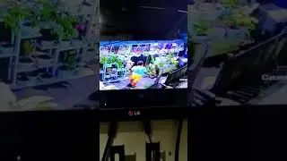 #CCTV  Maling Kembang Tertangkap CCTV Jl Lambung Mangkurat Samarinda