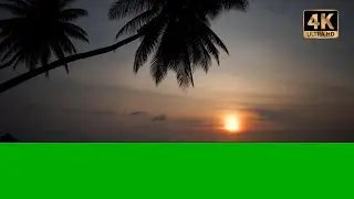 sunset green screen video download