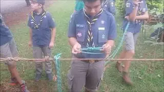 Jogo Corrida no Fio