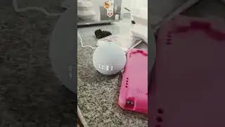 les muestro mi alexa😃