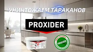 Уничтожаем тараканов в двухкомнатной квартире в Москве
