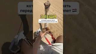 3 ВЕЩИ НУЖНО ЗНАТЬ ПЕРЕД ПОЕЗДКОЙ В ЕГИПЕТ🇪🇬