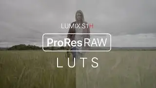 ProresRAW LUTS // LUMIX S1H