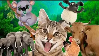 Animal sounds.