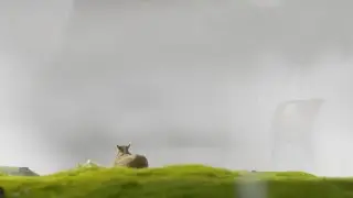CGI 