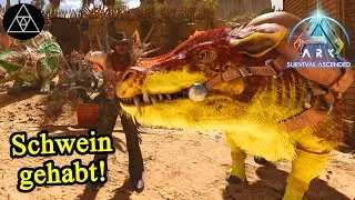 A pig rarely comes alone! ► ASA E96 - ARK: Survival Ascended