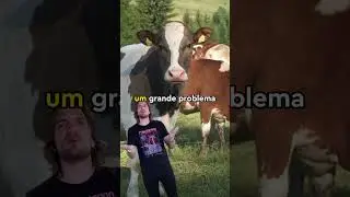 é verdade que VACAS estão piorando o AQUECIMENTO GLOBAL?