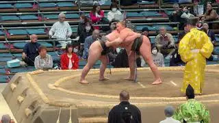 北天海VS豪ノ湖！2026年大阪3月場所