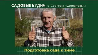 Укрываем деревья. Готовим сад к зиме.
