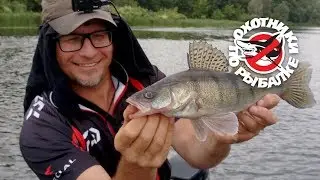 Осенняя ловля на джиг. Эффективная проводка для неактивного хищника. Крупный берш на реке Самара.