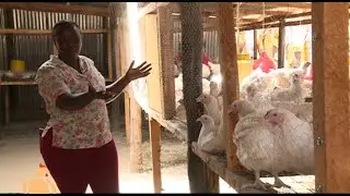 She does Mixed poultry farming and the power of starting small - Ann Uasin Gishu