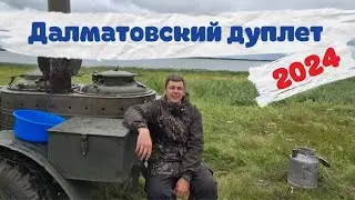 Далматовский дуплет 2024