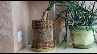 #DIY
