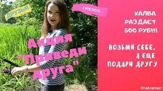 Акция "Приведи друга" - Халва раздает деньги!