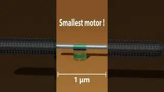 world's smallest motor...#shorts #medical #science #biotechnology #animation #dgeye