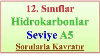 12. SINIFLAR HİDROKARBONLAR SEVİYE A5