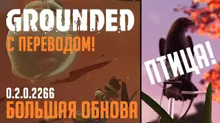 GROUNDED 