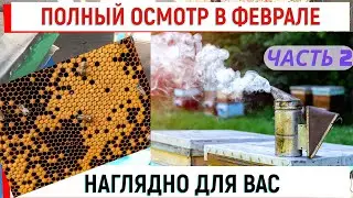 Полный осмотр в феврале ДЛЯ ВАС