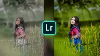 Lemon Tone Lightroom Photo Editing। Lemon Tone Lightroom Free Presets। Lightroom Editing 2024