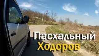 На дачу с друзьями - Пасхальный Ходоров