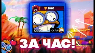 1К ЗА ЧАС! ТОП КАРТА ДЛЯ КАРЛА! 90%-10%